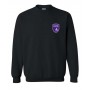 Crew neck - FC Laval